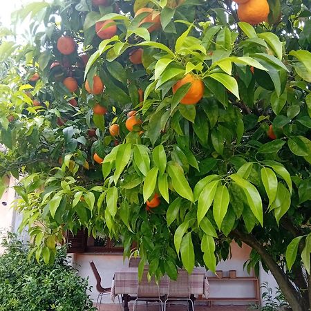 Casa Pratolungo Vendégház Velletri Kültér fotó