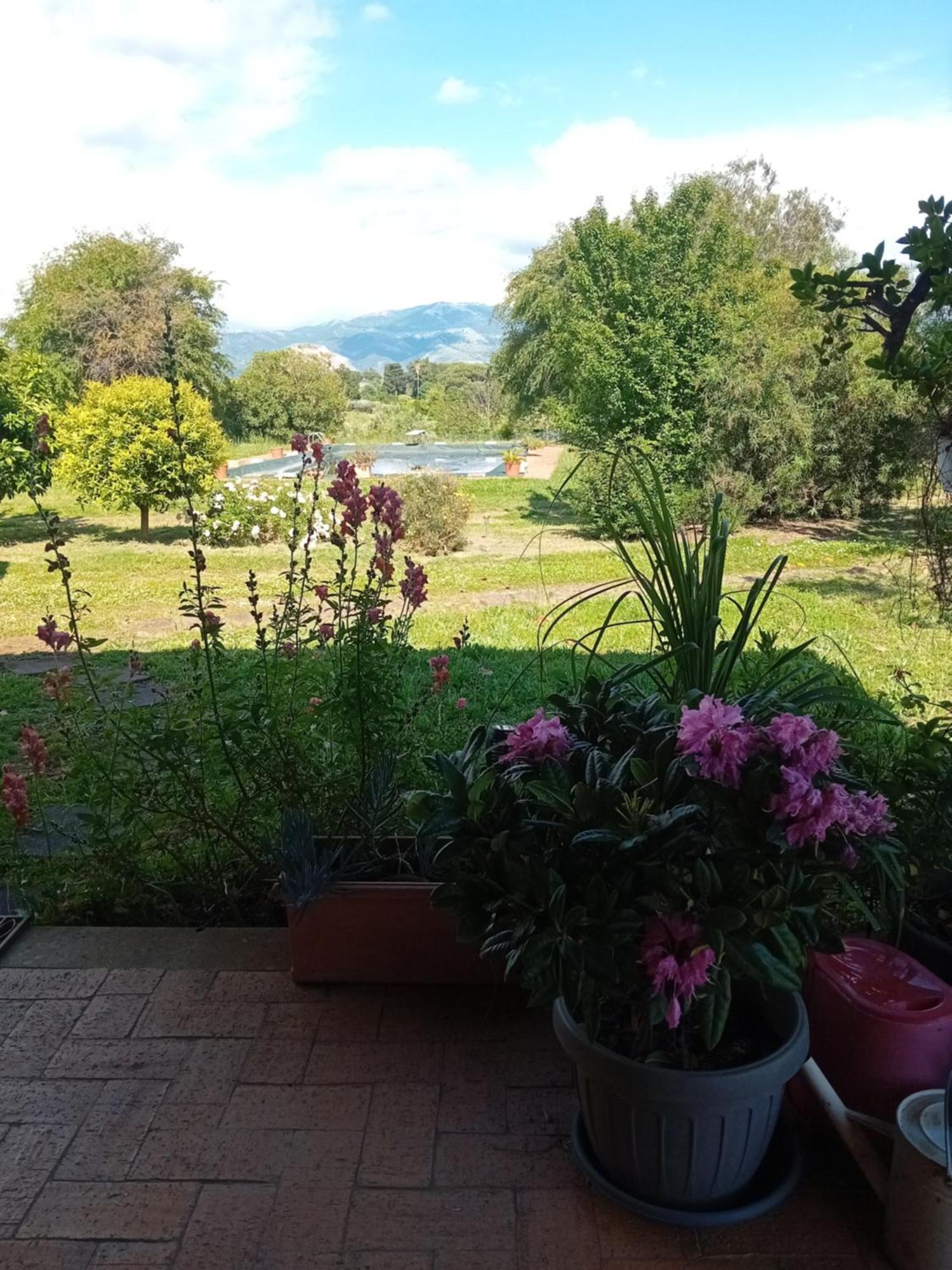 Casa Pratolungo Vendégház Velletri Kültér fotó